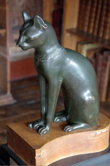 2021 - 03 Open Again 7 egyptian cat