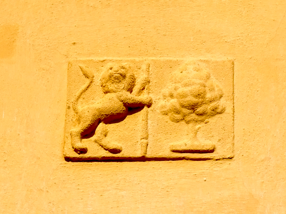 DSC04300