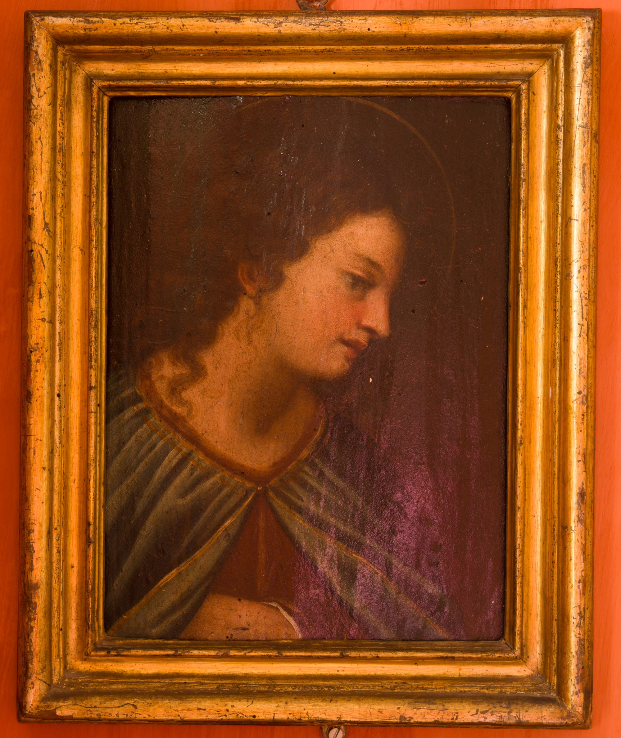 IMGP2474